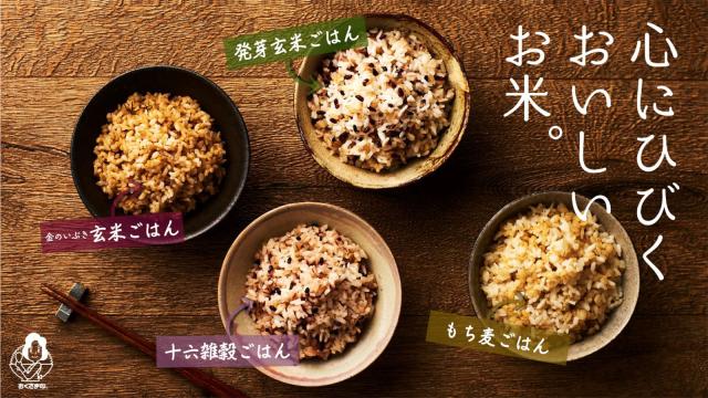 国産雑穀米 ご飯パック 十六雑穀米 発芽玄米 もち麦 玄米