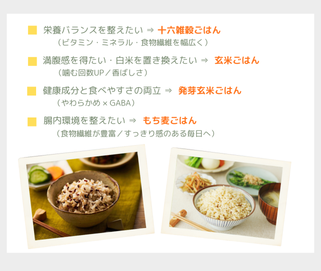 国産雑穀米 ご飯パック 十六雑穀米 発芽玄米 もち麦 玄米
