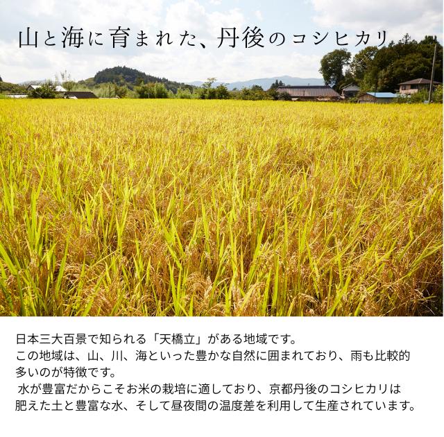 京都府丹後産コシヒカリ 産地イメージ