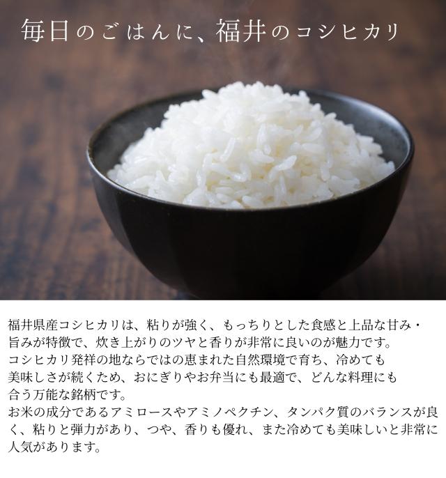 福井県産コシヒカリ