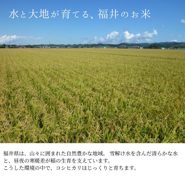 福井県産コシヒカリ 産地イメージ