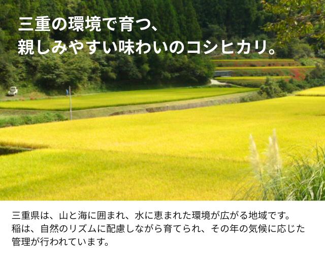 青森県産　青天の霹靂 白米