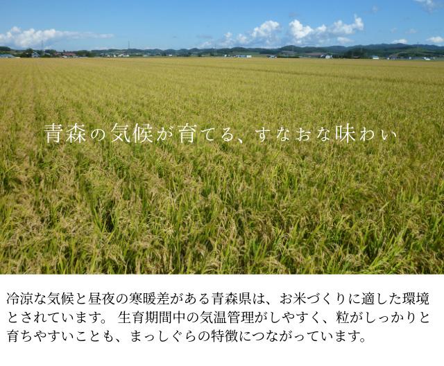 青森県産 まっしぐら 産地イメージ