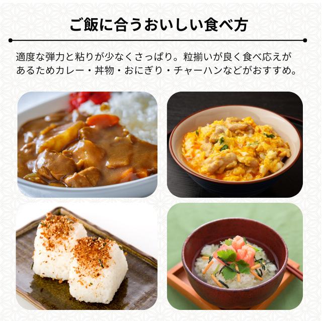 青森県産 まっしぐらの