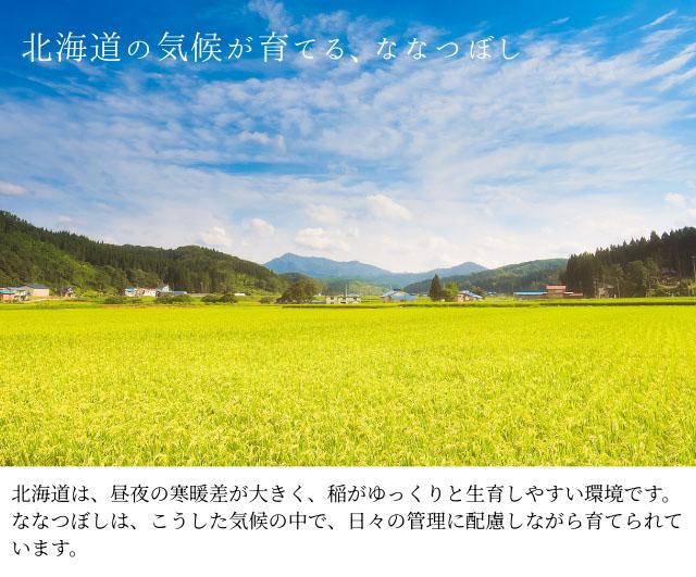 北海道産　ななつぼし 白米