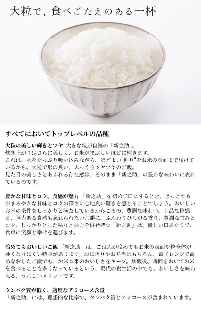 新潟県産 新之助 5kg