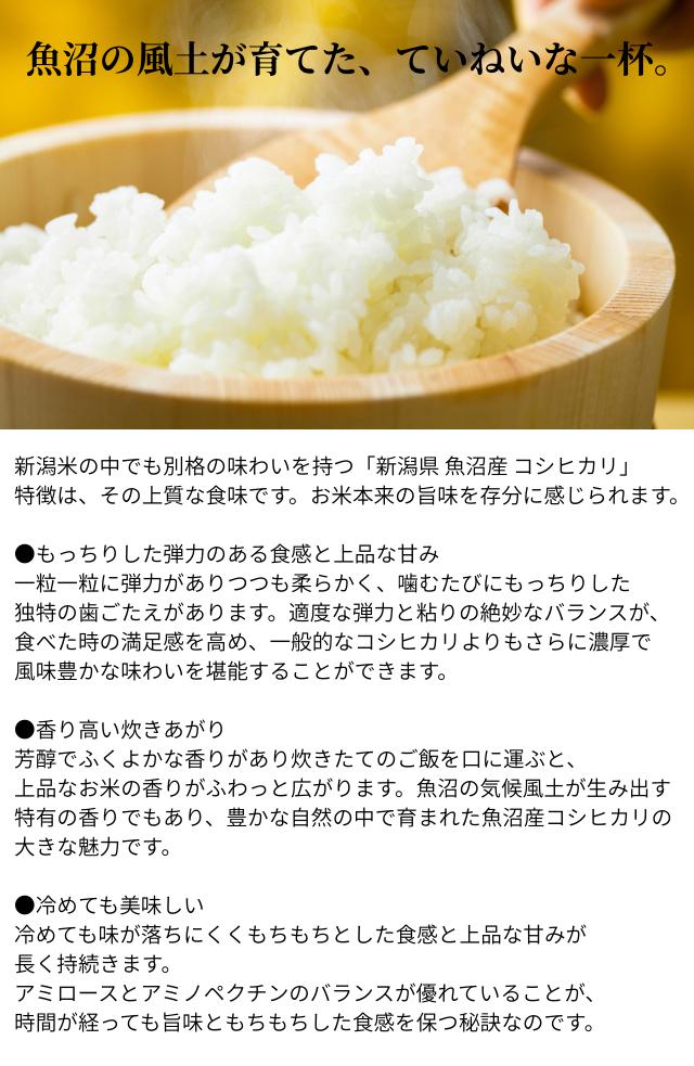 おくさま印 新潟県魚沼産 コシヒカリ 