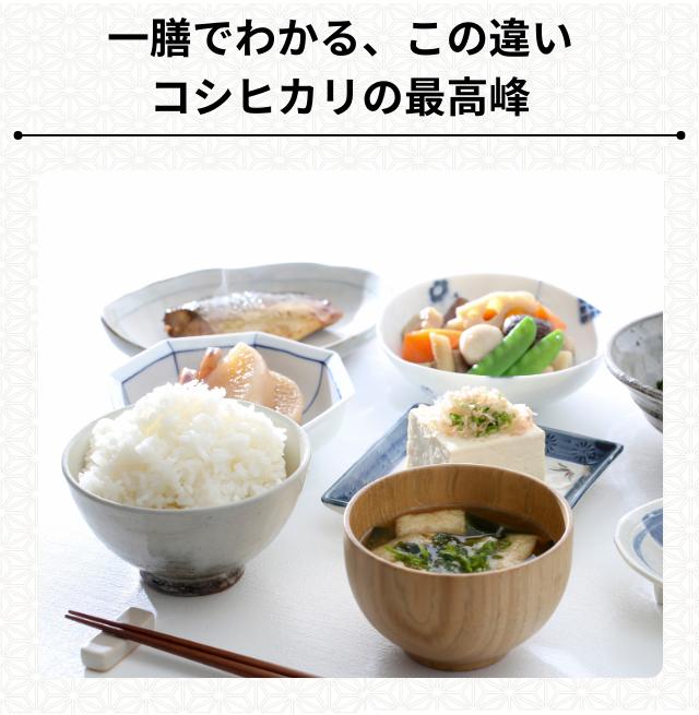 おくさま印 新潟県魚沼産 コシヒカリ 