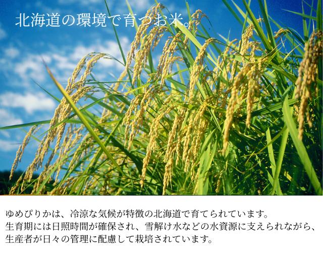 北海道産ゆめぴりか 白米 産地イメージ