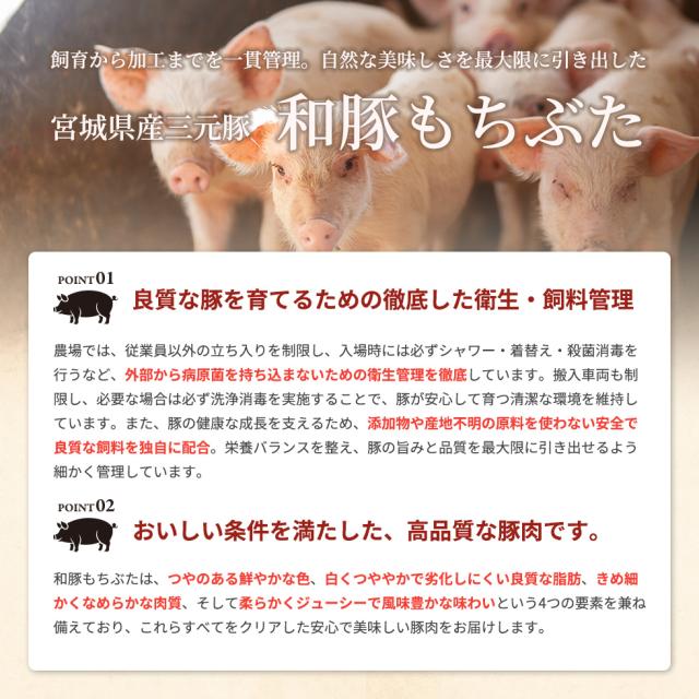 仙台牛入りもち豚ハンバーグ