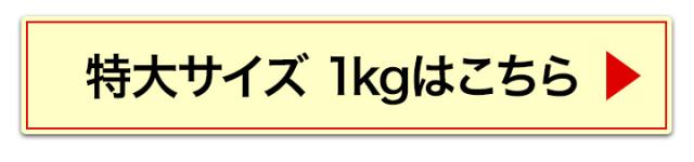 特大1kg
