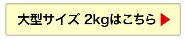 大型サイズへ