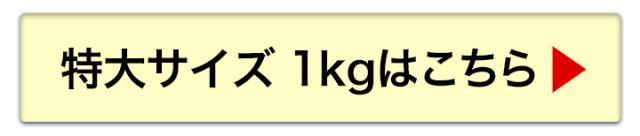 特大サイズへ