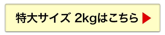 特大サイズへ