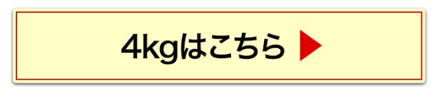 4kgへ