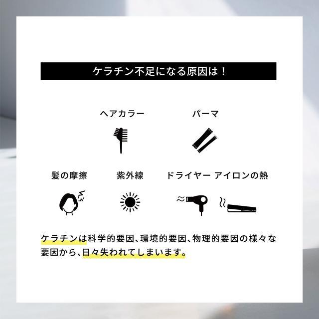 エマコッカーナトリートメントプラス