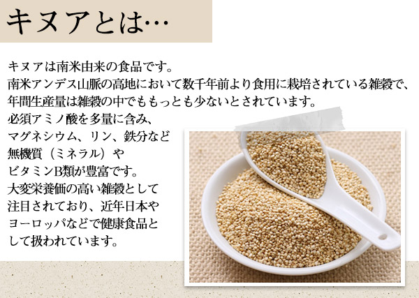NASAでも検討