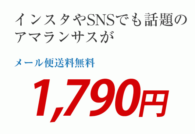 アマランサスがメール便送料無料1690円です