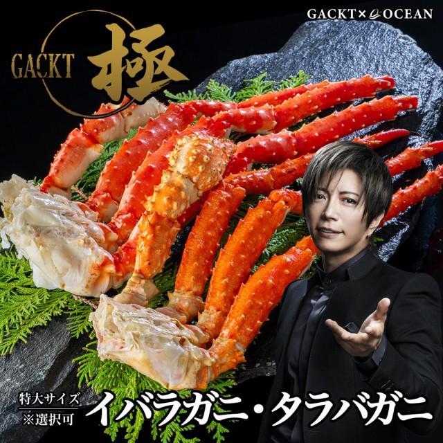 年末指定可能】イバラガニ脚1肩 900g-1kgの通販はau PAY マーケット - GACKT x OCEAN | au PAY  マーケット－通販サイト