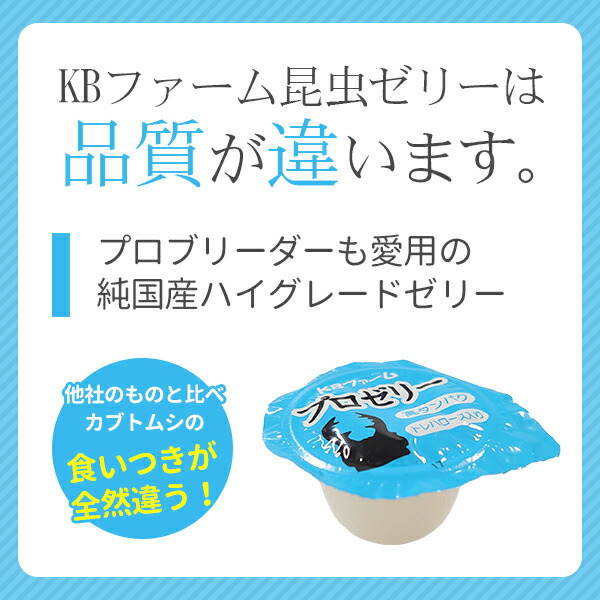 商品画像6