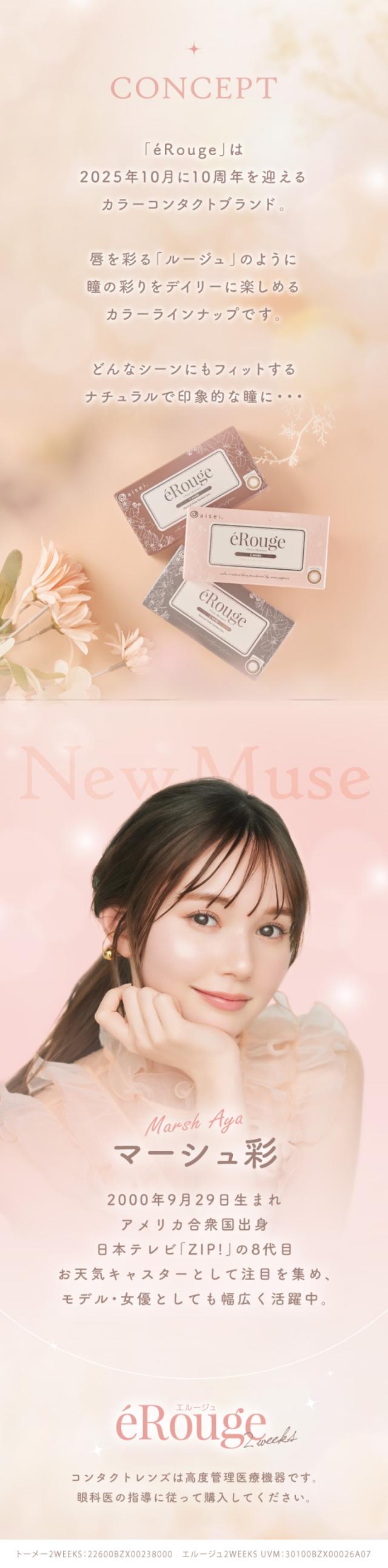 コンセプト,モデル