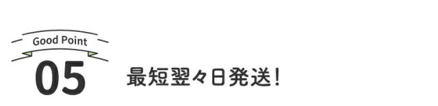 最短翌々日発送!