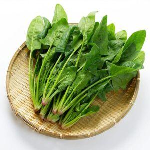 葉酸　ベビグリーンの1日分には400μgの葉酸が含まれています。