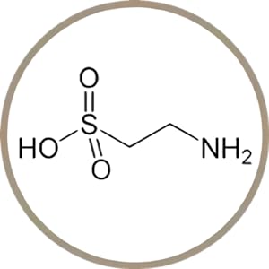 タウリン　体内のタウリンの約70％が、ミトコンドリアも多い筋肉に含まれています。