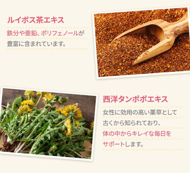 ルイボス茶エキス 鉄分や亜鉛、ポリフェノールが豊富に含まれています。