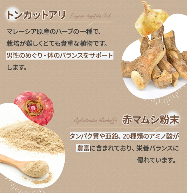 トンカットアリ
マレーシア原産のハーブの一種で、栽培が難しくとても貴重な植物です。男性のめぐり・体のバランスをサポートします。赤マムシ粉末タンパク質や亜鉛、20種類のアミノ酸が豊富に含まれており、栄養バランスに優れています。スッポンアルギニンやミネラルが豊富に含まれており、体の中から若々しさや、はつらつとした毎日をサポートします。オタネニンジン（高麗人参）オタネニンジンに含まれる「サポニン」が、男性のめぐり・体のバランスをサポートします。アカガウクルアインド・タイの一部の特定地域にのみ生息するハーブの一種。古くから滋養素材として活用されている素材で、毎日の若々しさをサポートします。