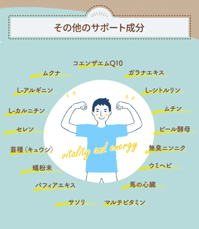その他のサポート成分コエンザエムQ10ムクナガラナエキスL-アルギニンL-シトルリンL-カルニチンムチンセレンビール酵母韮種（キュウシ）無臭ニンニク蟻粉末ウミヘビパフィアエキス馬の心臓サソリマルチビタミン