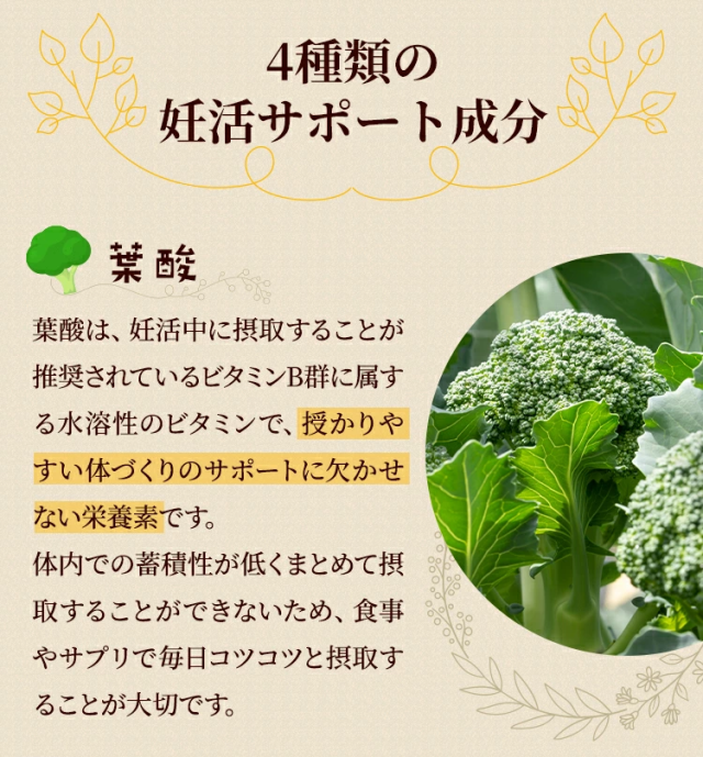 4種類の妊活サポート成分葉酸葉酸は、妊活中に摂取することが推奨されているビタミンB群に属する水溶性のビタミンで、授かりやすい体づくりのサポートに欠かせない栄養素です。体内での蓄積性が低くまとめて摂取することができないため、食事やサプリで毎日コツコツと摂取することが大切です。ザクロアミノ酸、ビタミン、ミネラル、ポリフェノールなどの栄養素が豊富に含まれており、女性ならではのリズムをサポートします。マカ必須アミノ酸やミネラル、ビタミン、アルギニン、鉄分、カルシウムなどの栄養素が豊富に含まれています。西洋タンポポ女性に効用の高い薬草として古くから知られており、体の中からキレイな毎日をサポートします。