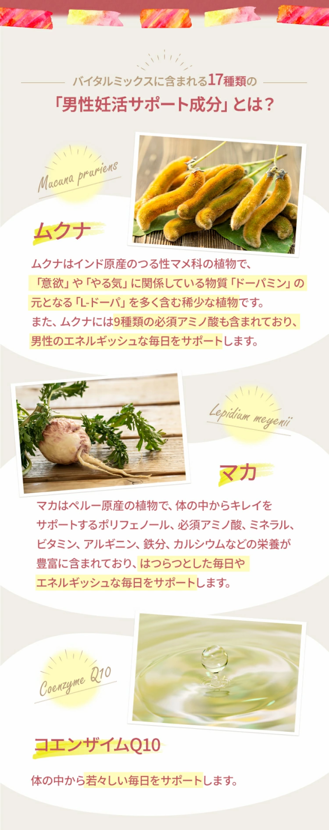 バイタルミックスに含まれる17種類の「男性妊活サポート成分」とは？ムクナムクナはインド原産のつる性マメ科の植物で、「意欲」や「やる気」に関係している物質「ドーパミン」の元となる「L-ドーパ」を多く含む稀少な植物です。また、ムクナには9種類の必須アミノ酸も含まれており、男性のエネルギッシュな毎日をサポートします。マカマカはペルー原産の植物で、体の中からキレイをサポートするポリフェノール、必須アミノ酸、ミネラル、ビタミン、アルギニン、鉄分、カルシウムなどの栄養が豊富に含まれており、はつらつとした毎日やエネルギッシュな毎日をサポートします。コエンザイムQ10体の中から若々しい毎日をサポートします。
