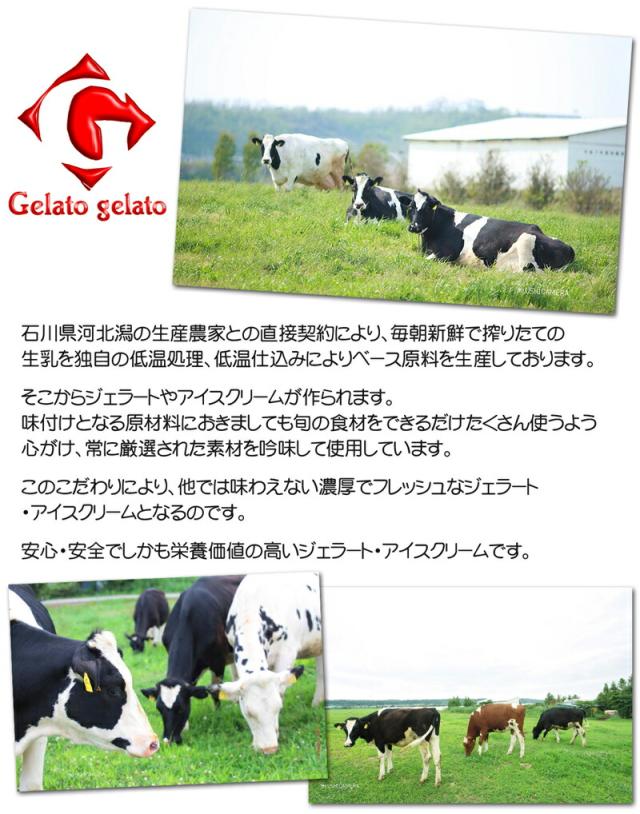 ジェラート・ジェラート・業務用アイスクリーム・こだわり