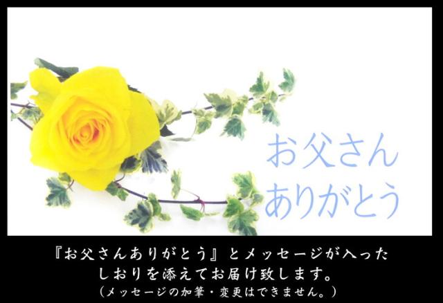 しおり