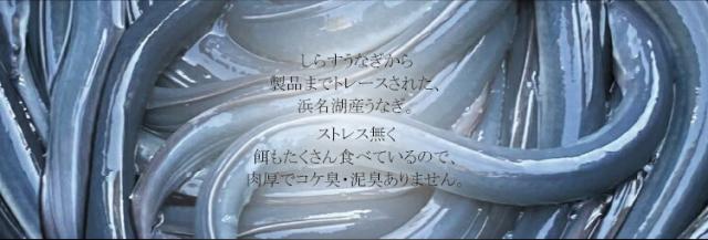 「日本橋ゆかり」匠の蒲焼