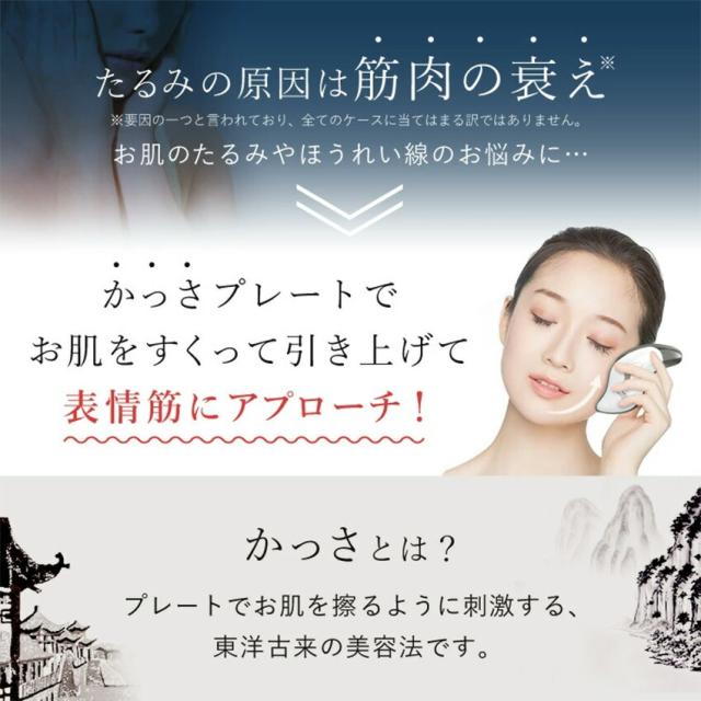 FASCINATE ポータブル美顔器 Beauty Guasha