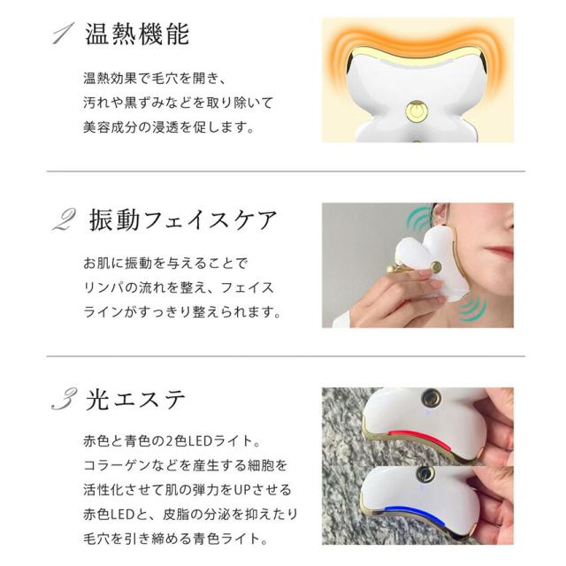 FASCINATE ポータブル電動美顔ローラー＆美顔器 蝶花デュエッフェ