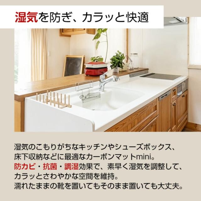 カーボンマットmini