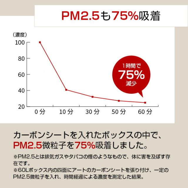 カーボンマットmini