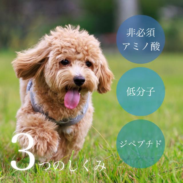 あしたも走ろっ