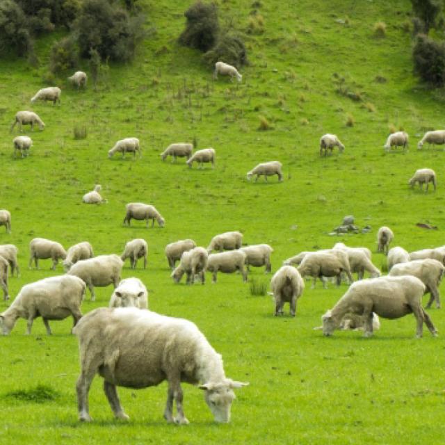 あしたも走ろっ