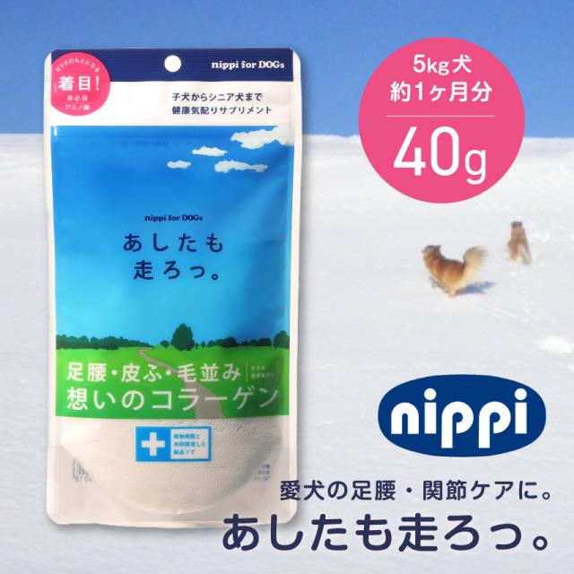 あしたも走ろっ