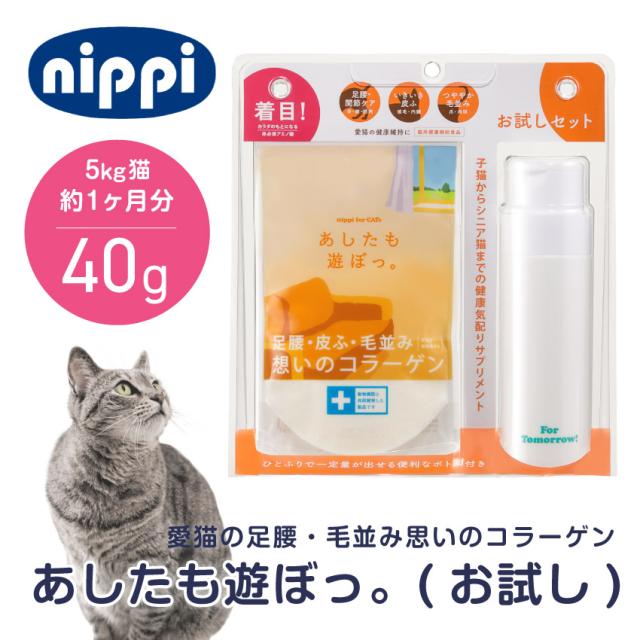 あしたも遊ぼっ。