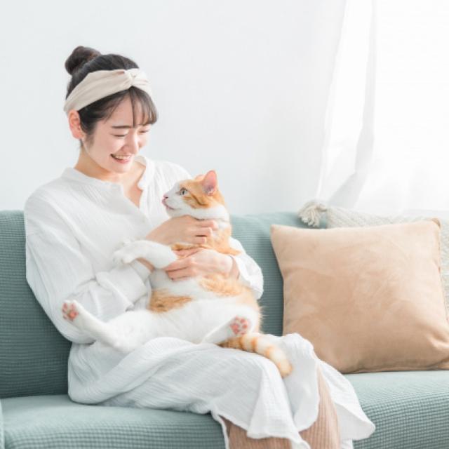 あしたも遊ぼっ。