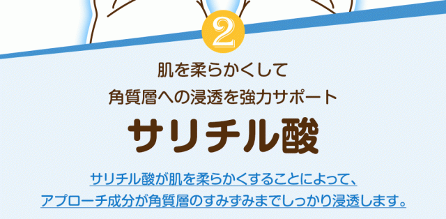 2.肌を柔らかくして角質層への浸透を強力サポート「サリチル酸」サリチル酸が肌を柔らかくすることによって、アプローチ成分が角質層のすみずみまでしっかり浸透します。