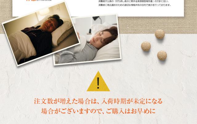 数量限定なのでお急ぎください