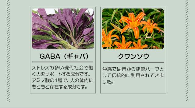 GABA、クワンソウ