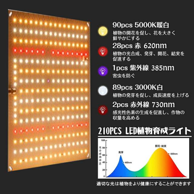 植物育成ライト