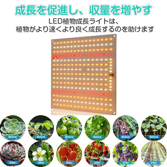 植物育成ライト